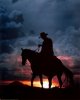 Sunset Rider.jpg
