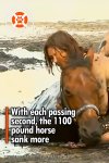 PIN-With-each-passing-second-the-1100-pound-horse-sank-more.jpg